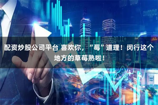 配资炒股公司平台 喜欢你，“莓”道理！闵行这个地方的草莓熟啦！
