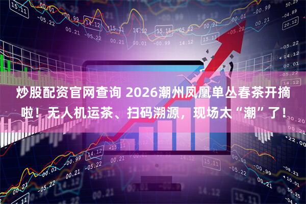 炒股配资官网查询 2026潮州凤凰单丛春茶开摘啦！无人机运茶、扫码溯源，现场太“潮”了！